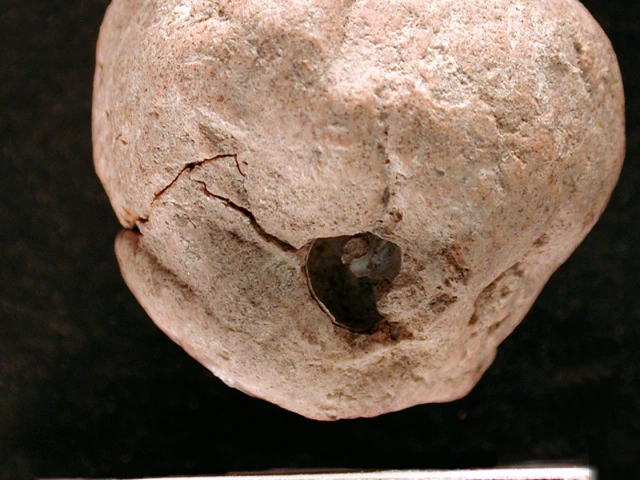 Side view of 1998-21-39