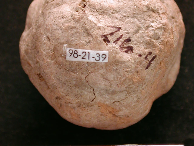 Bottom view of 1998-21-39