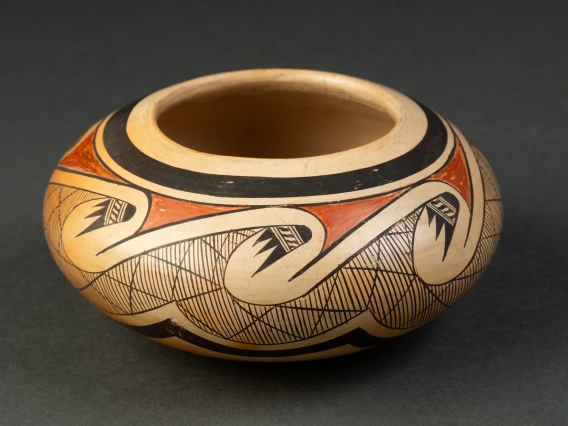 polychrome bowl with migration/bird-wing designs