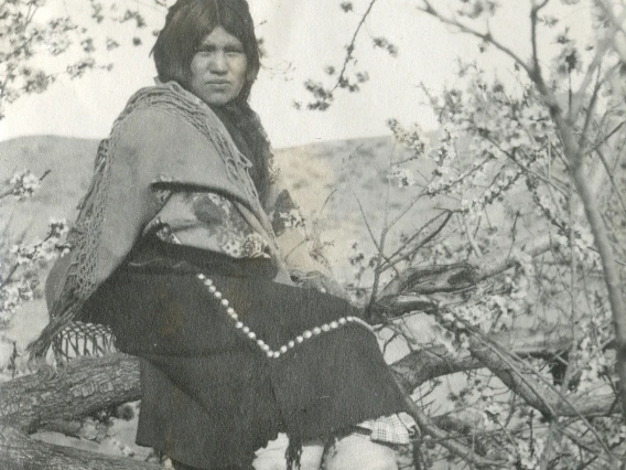 A Hopi woman in traditional dress sits on a large tree branch