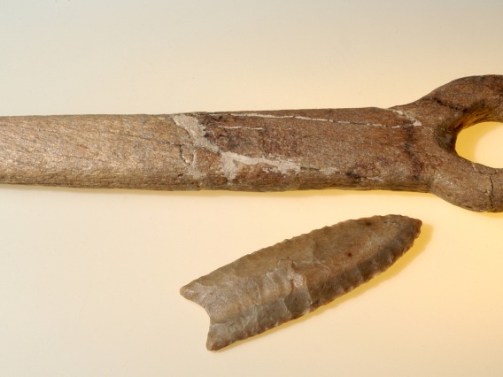 Clovis Bone Shaft Wrench, Cochise County, Arizona, about 13,000 years old