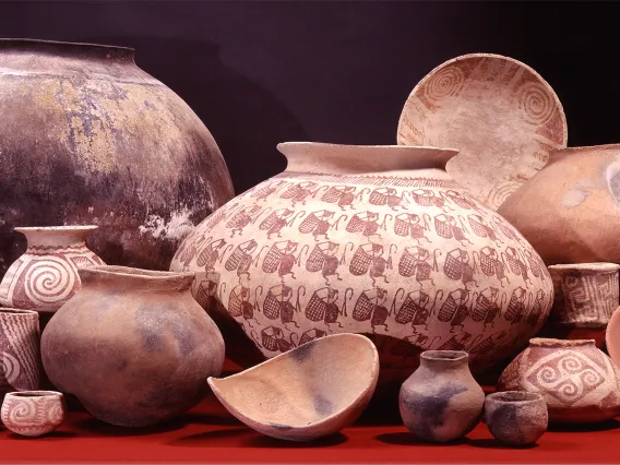 Pottery from the Norton Allen Collection