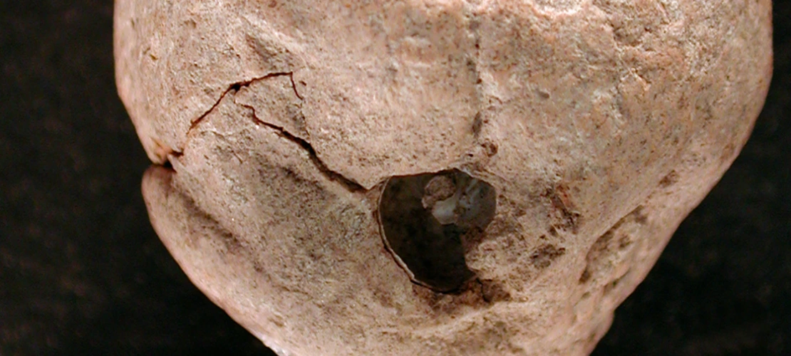 Side view of 1998-21-39