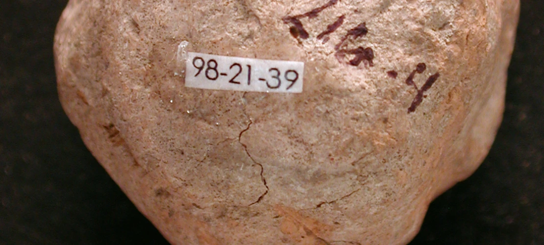 Bottom view of 1998-21-39