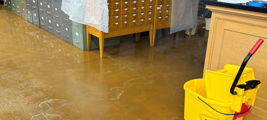 tide lines in the ASM library due to a flood
