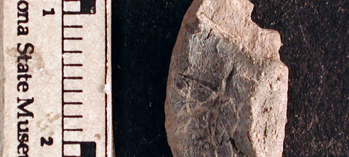 98-21-41_P1.jpg