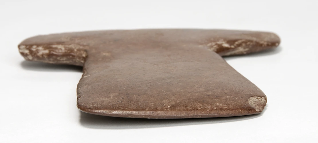 Agave Scraper