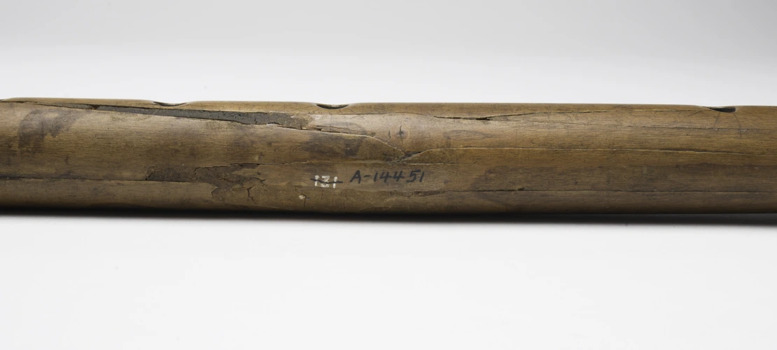 Detail of body, A-14551, 620–670 CE (Common Era=AD).