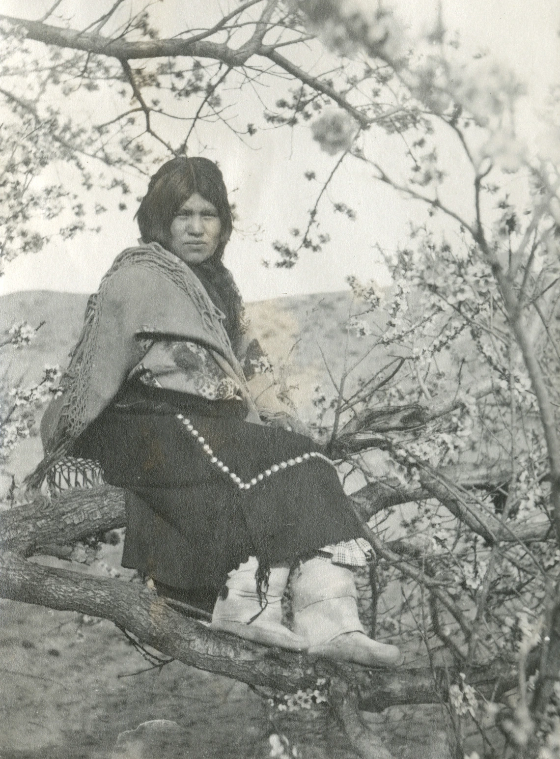 a young Hopi woman in traditional garb sits on a tree branch in this black and white photograph