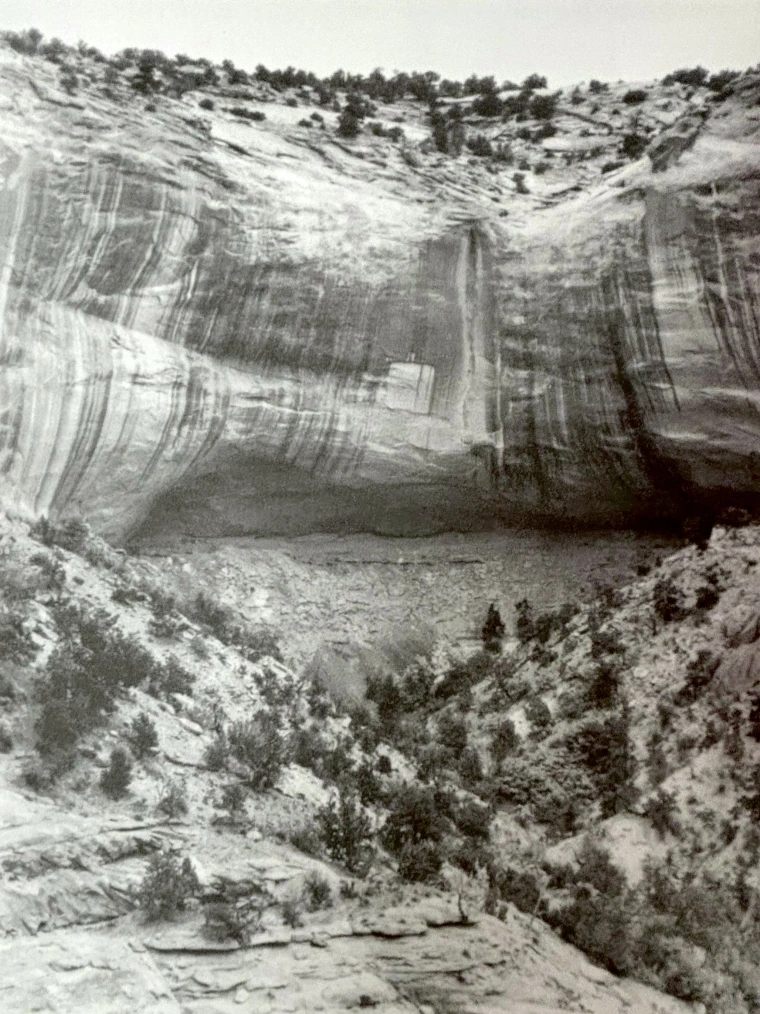 Black and white photo of a cave tucked under a sheer cliffside surrounded by shrubs.