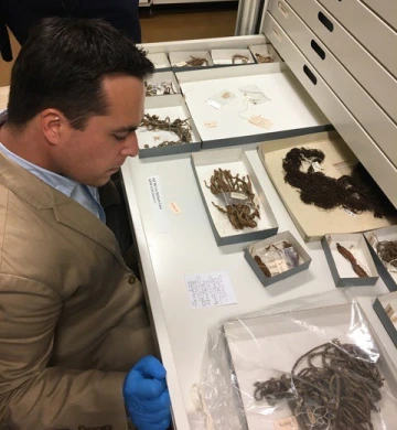 a man is looking at artifacts stored in a cabinet drawer