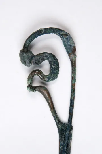 Fibula2