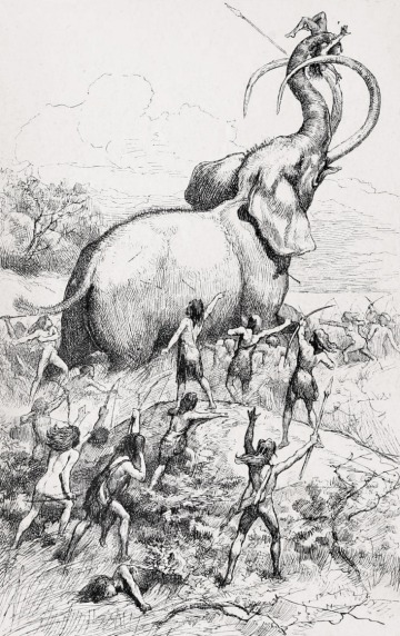 drawing of mammoth