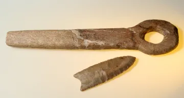 Clovis Bone Shaft Wrench, Cochise County, Arizona, about 13,000 years old