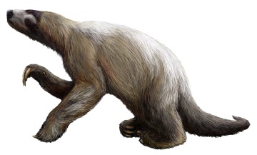 Shasta ground sloth