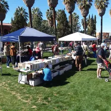 booths on the grass